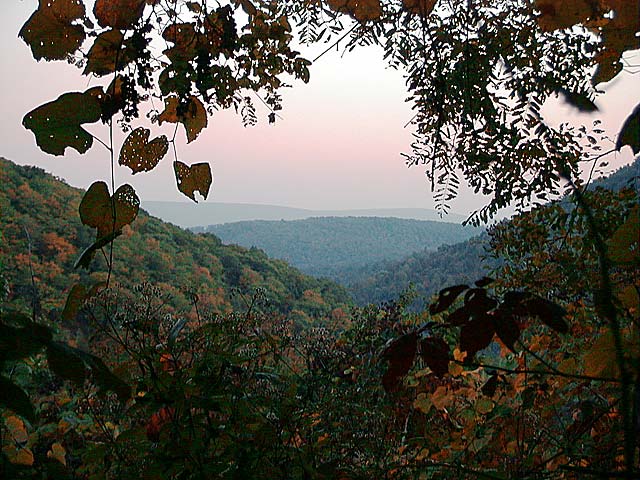 Shaw Run Hollow Vista